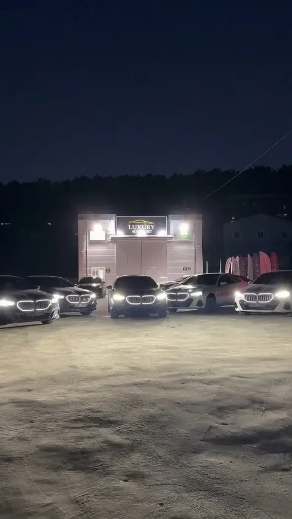 Luxury Auto Potty Facility Night Lineup